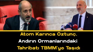 Atom Karınca Öztunç Andırın Ormanlarındaki Tahribatı Kaleme Aldı