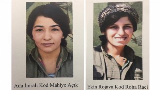 MiİT'in Operasyonu İle İki PKK'lı Terörist Etkisiz Hale Getirildi
