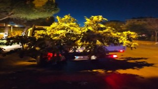 Kahramanmaraş'ta Fırtına Mesaisi
