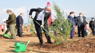 Dulkadiroğlu Belediyesi İlçe Nufüsü Kadar Fidan Dikecek