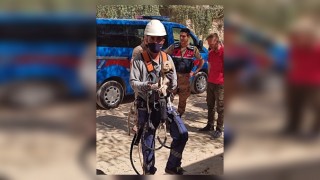 Elektrik Direğinde Mahsur Kalan Peçeli Baykuş’u AKEDAŞ Ekipleri Kurtardı.