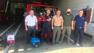 Kahramanmaraş İtfaiye’den Duyarlı Vatandaşa Teşekkür