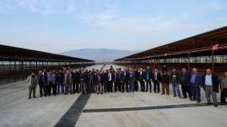 Kahramanmaraş Hayvan Satış Yeni Yeri