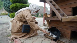 Genç İlahiyatçılardan Yürekleri Isıtan Çalışma