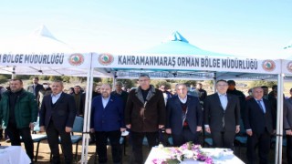 Güvenç’in kurduğu güçlü iletişim, 30 bin fidan olarak Kahramanmaraş’a nefes oldu