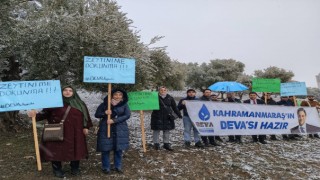 Deva'dan Zeytinime Dokunma Tepkisi