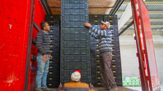 Büyükşehir Çiftçilere Desteğini Sürdürüyor
