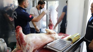 1 ton 250 kilogram bozuk et ele geçirildi