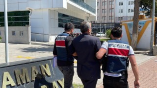 Terör operasyonunda bir şüpheli yakalandı