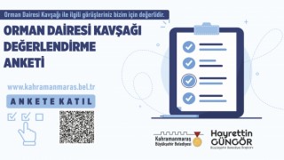 Orman Dairesi Kavşağı Değerlendirme Anketi
