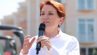 İyi Parti Lideri Akşener'i Sokak Köpeği Isırdı