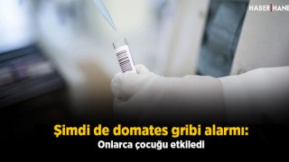 Şimdi de domates gribi alarmı: Onlarca çocuğu etkiledi
