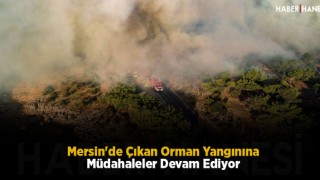 Mersin'de Çıkan Orman Yangınına Müdahaleler Devam Ediyor