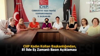 CHP Kadın Kolları Başkanlığından, 81 İlde Eş Zamanlı Basın Açıklaması