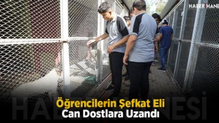Öğrencilerin Şefkat Eli Can Dostlara Uzandı