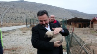 Başkan Gürbüz Hem sokak hayvanları korunacak, hem de insanlarımız