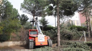 Dulkadiroğlu'nda Park Ve Bahçelerde Kış Hazırlığı