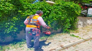 Onikişubat’ta yabani otlar temizleniyor, sokaklar estetik bir görünüme kavuşuyor