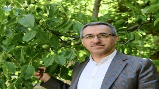 Kahramanmaraş’ın AB Tescilli İlk Ürünü; Çağlayancerit Cevizi