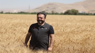 Elbistan Belediyesi tarlada buğday üretip, ücretsiz ekmek dağıtıyor