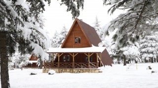 YALNIZ ARDIÇ BUNGALOV EVLER MİSAFİRLERİNİ BEKLİYOR