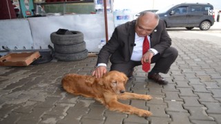 Belediye Başkan Adayı Dr. Selahaddin Can: 'Dulkadiroğlu'nu Şaha Kaldıralım'