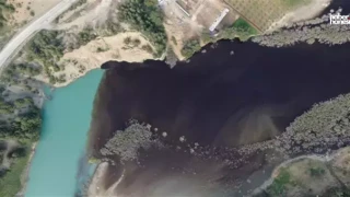 Kahramanmaraş Sır Barajı'nda Toplu Balık Ölümleri Tedirginlik Yaratıyor