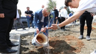 Kahramanmaraş İstiklal Üniversitesi Karacasu Kampüsünde Fidan Dikti