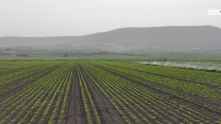 Kahramanmaraş'ta 2024 Sulama Sezonu Başladı: DSİ'den Çiftçilere Büyük Destek