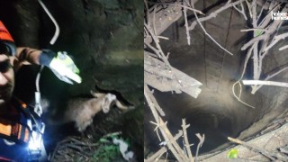 Kahramanmaraş'ta 20 Metre Kuyudan Keçi Kurtarma Operasyonu!