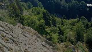 Kahramanmaraş'ta Uçuruma Düşen Kişi İçin Zamanla Yarış: İtfaiye Ekipleri Sahada