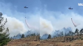 Kahramanmaraş'taki Orman Yangını Kontrol Altına Alındı: 50 Hektar Kül Oldu!