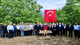 Kahramanmaraş’ta Ceviz Hasadı Başladı! Başkan Toptaş’tan Çiftçilere Tam Destek