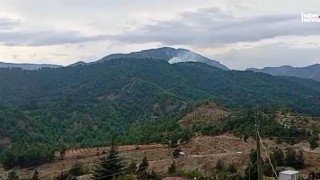 Kahramanmaraş’ta Korkutan Yangın: Ormandan Alevler Yükseldi!