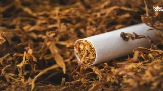 Sigara Fiyatlarının Ardından Marlboro Sarmalık Tütüne de Zam Yapıldı