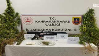 Kahramanmaraş’ta Kenevir Yetiştiren Kişi Gözaltına Alındı