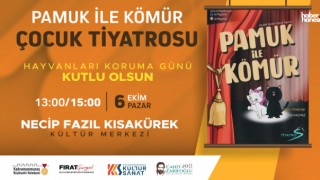 Kahramanmaraş’ta Pamuk ile Kömür Tiyatro Gösterisi Çocuklarla Buluşuyor!