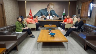 Şehitkamilli Sporculardan Uluslararası Başarı: Satranç ve Yüzmede Büyük Gurur