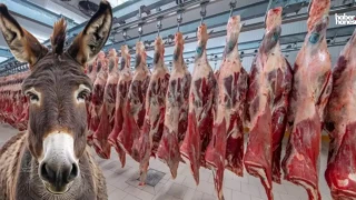 Tarım Bakanlığı Sahtekarları Açıkladı: Dana Eti Yerine At ve Eşek Eti Yedirmişler!