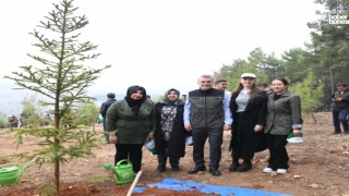 Kahramanmaraş'ta Ağaçlandırma Seferberliği: Fidanlar Toprakla Buluştu