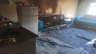 Kahramanmaraş’ta Yangın Faciası: Bir Kedi Telef Oldu!