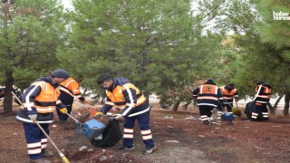 Şehitkamil’de Temizlik Seferberliği: Ormanlık Alan 3 Günde Çöplerden Kurtuldu
