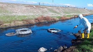 Kahramanmaraş Büyükşehir'den Çevre ve Toplum Sağlığı İçin Yoğun Mücadele