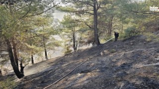 Kahramanmaraş'ta Orman Yangını Korkuttu, Ekipler Kontrol Altına Aldı