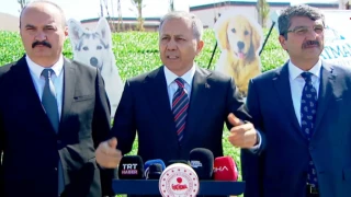 Kahramanmaraş Dahil 81 İlde Hayvan Bakımevleri Denetimi!