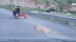 Kahramanmaraş’ta Köpek Sürüklenerek Öldürüldü!
