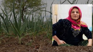 Kahramanmaraş’ta Tarlada Çalışan Kadın Hayatını Kaybetti