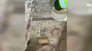 Kahramanmaraş’ta 1500 Yıllık Mozaik Bulundu!