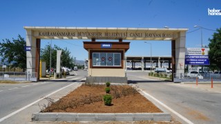 Kahramanmaraş’ta Kurban Pazarına Büyükşehir Dokunuşu: Temizlik ve İlaçlama Hız Kesmiyor!