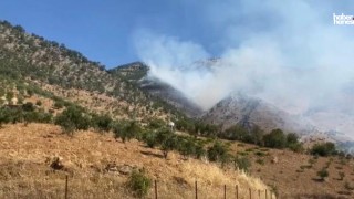 Kahramanmaraş’ta Orman Yangını Kabusu: 100 Personel ve 3 Helikopter Görevde